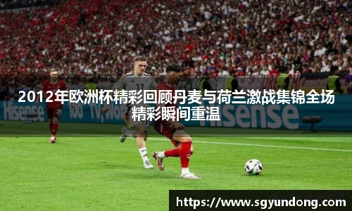 2012年欧洲杯精彩回顾丹麦与荷兰激战集锦全场精彩瞬间重温