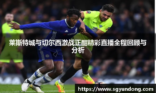 芒果体育官网入口